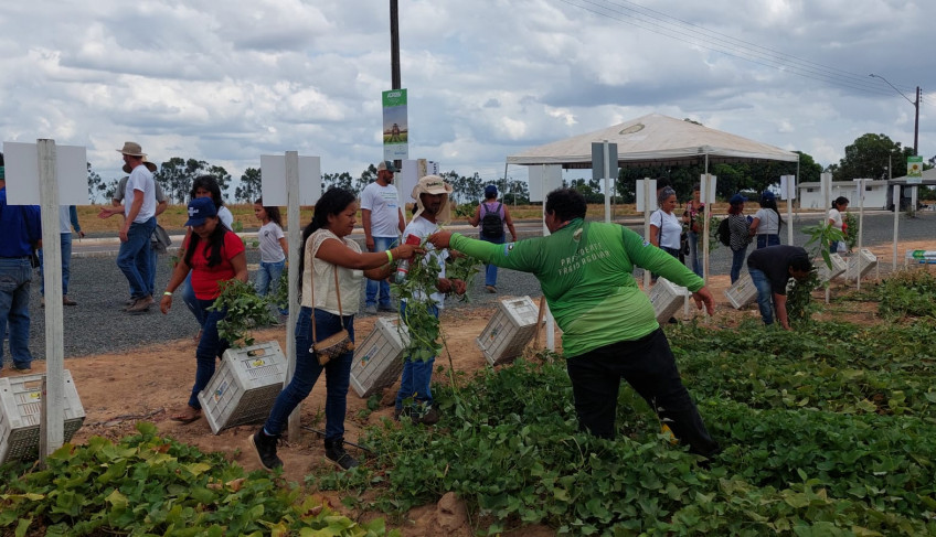 ASN Roraima - Agência Sebrae de Notícias