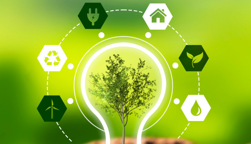 ASN Roraima - Agência Sebrae de Notícias