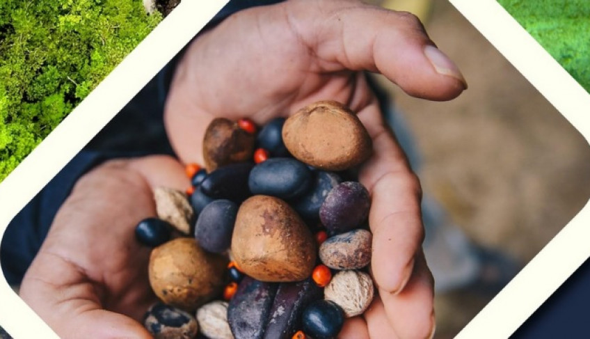 ASN Roraima - Agência Sebrae de Notícias