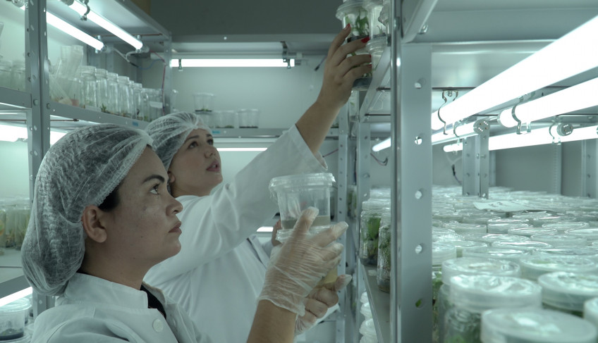 ASN Roraima - Agência Sebrae de Notícias