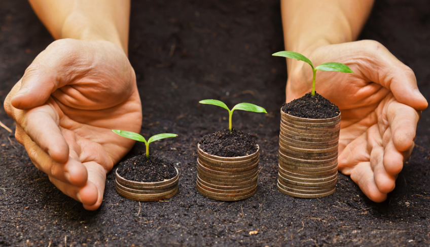 ASN Roraima - Agência Sebrae de Notícias