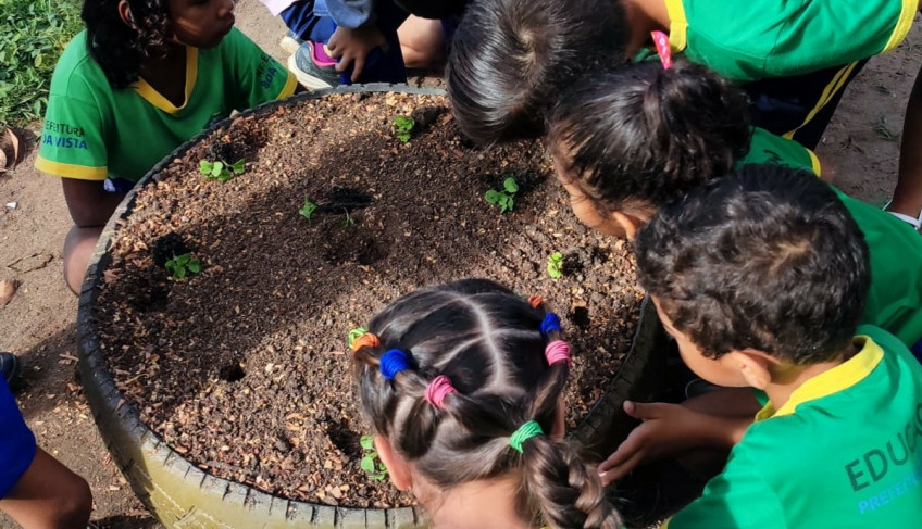 ASN Roraima - Agência Sebrae de Notícias