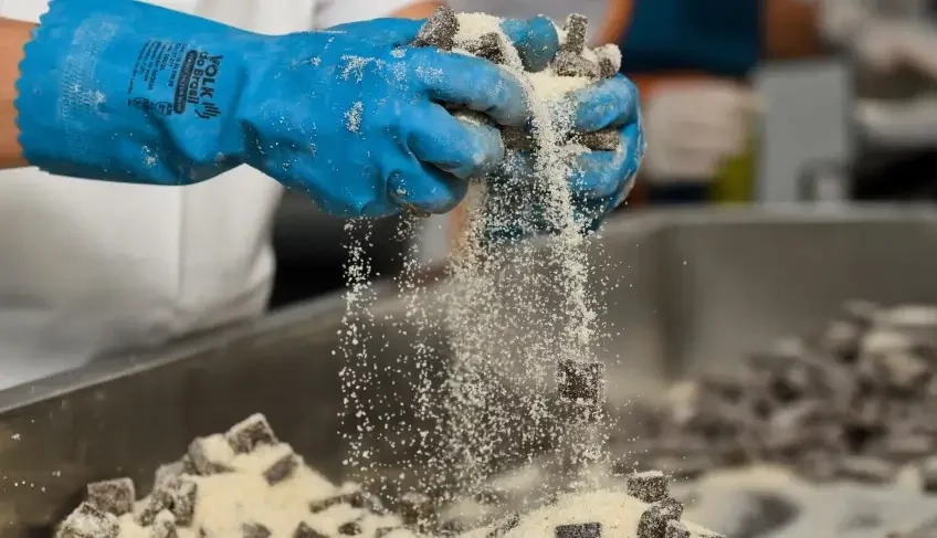 ASN Roraima - Agência Sebrae de Notícias