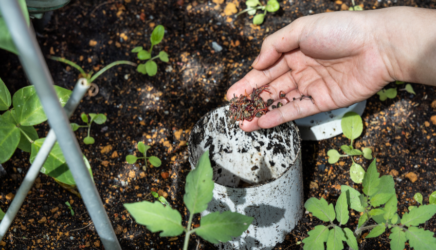 ASN Roraima - Agência Sebrae de Notícias