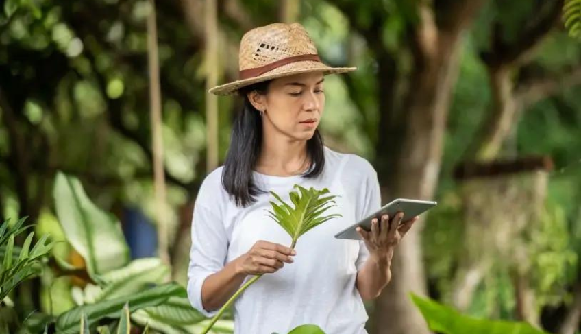 ASN Roraima - Agência Sebrae de Notícias
