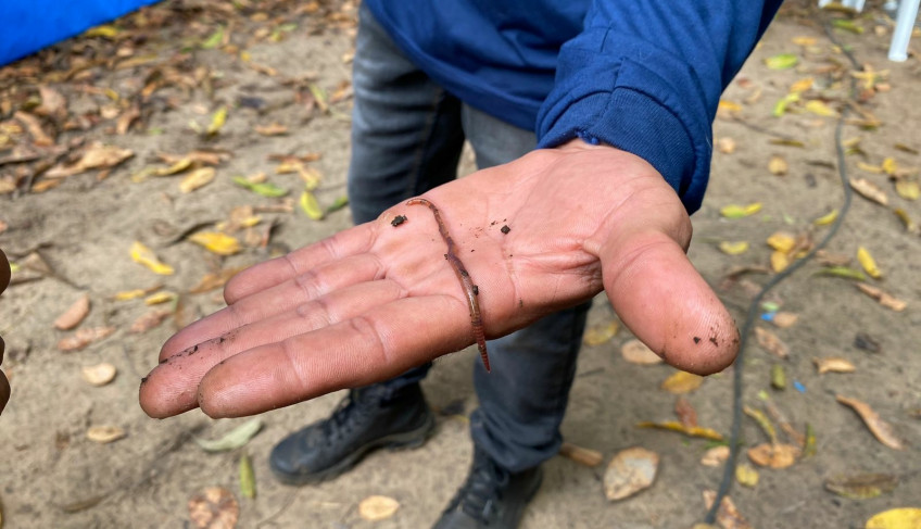ASN Roraima - Agência Sebrae de Notícias