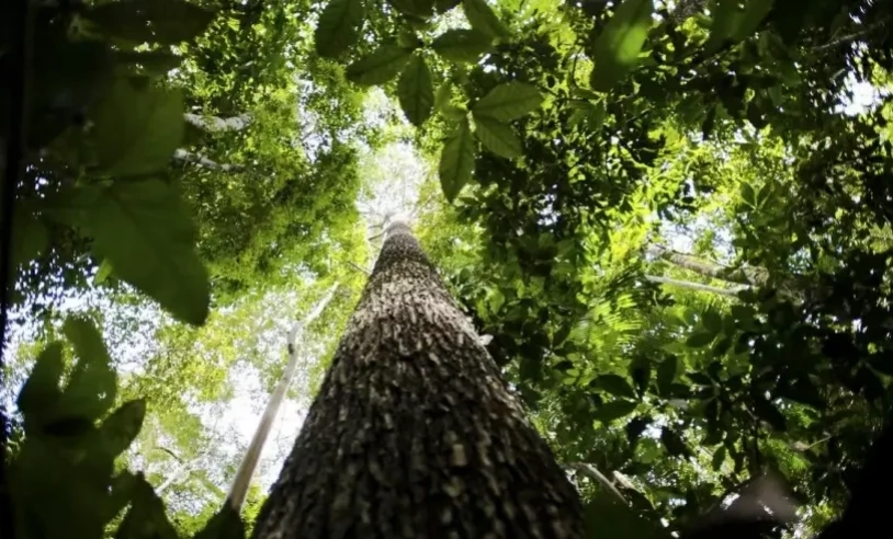 ASN Roraima - Agência Sebrae de Notícias