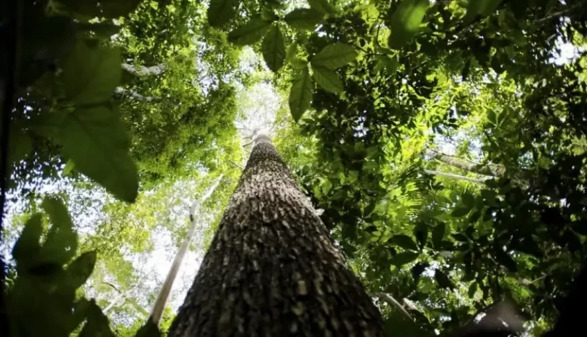 ASN Roraima - Agência Sebrae de Notícias