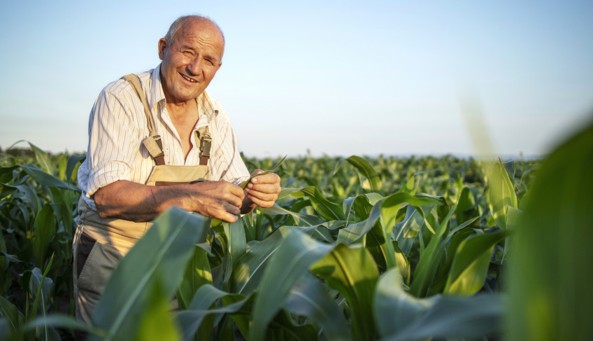 ASN Roraima - Agência Sebrae de Notícias