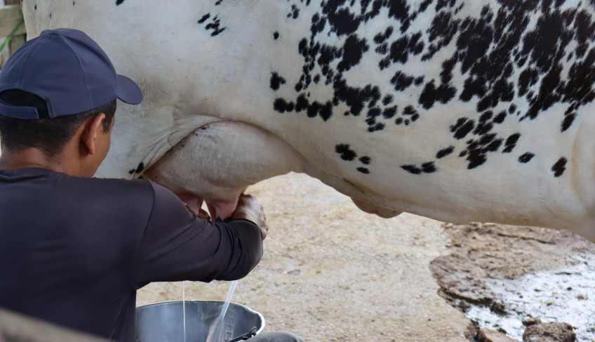 ASN Roraima - Agência Sebrae de Notícias