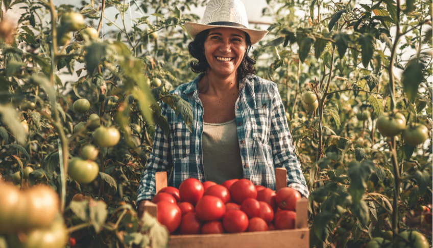 ASN Roraima - Agência Sebrae de Notícias