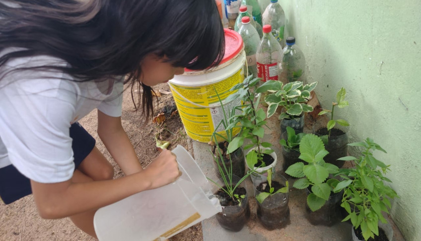 ASN Roraima - Agência Sebrae de Notícias