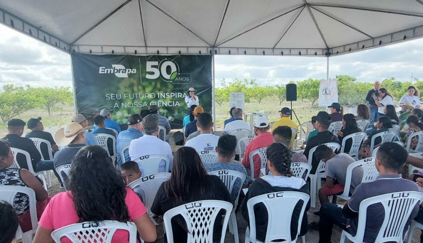 ASN Roraima - Agência Sebrae de Notícias