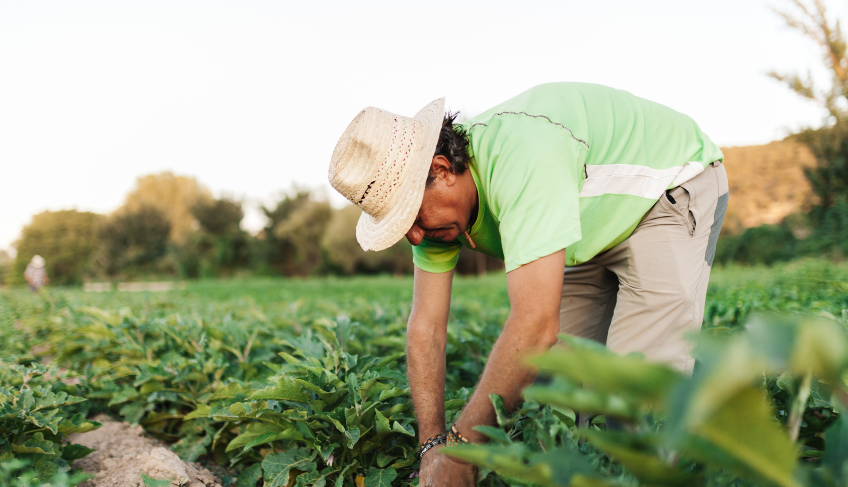 ASN Roraima - Agência Sebrae de Notícias