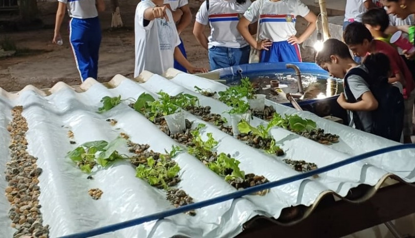 ASN Roraima - Agência Sebrae de Notícias