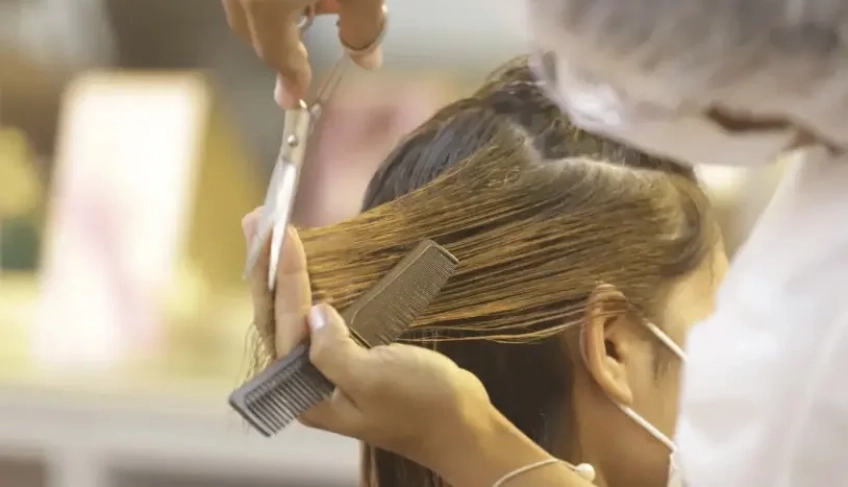 ASN Roraima - Agência Sebrae de Notícias