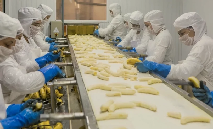 ASN Roraima - Agência Sebrae de Notícias