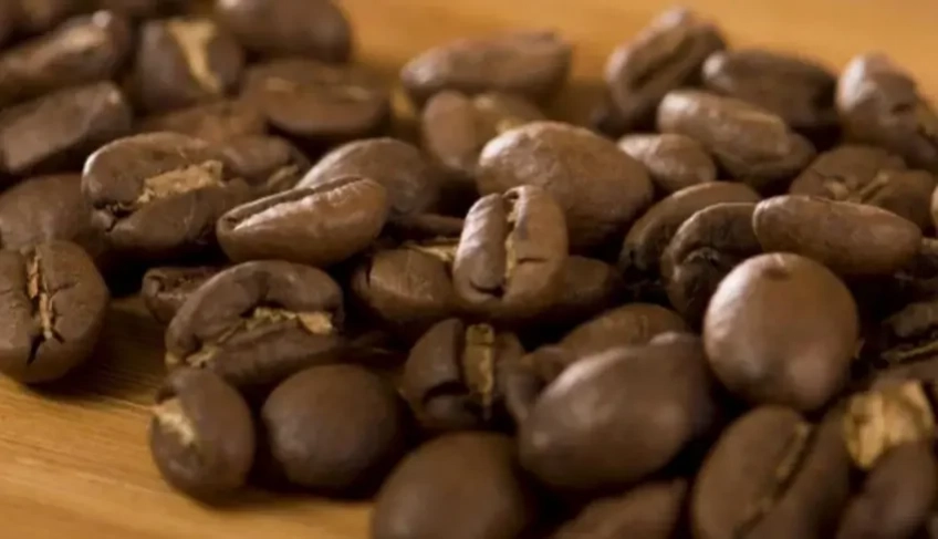 ASN Roraima - Agência Sebrae de Notícias