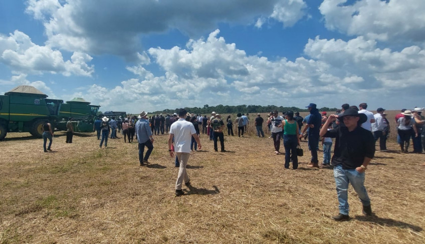 ASN Roraima - Agência Sebrae de Notícias