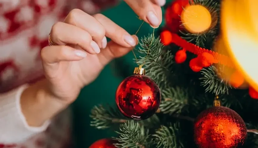 ASN Roraima - Agência Sebrae de Notícias