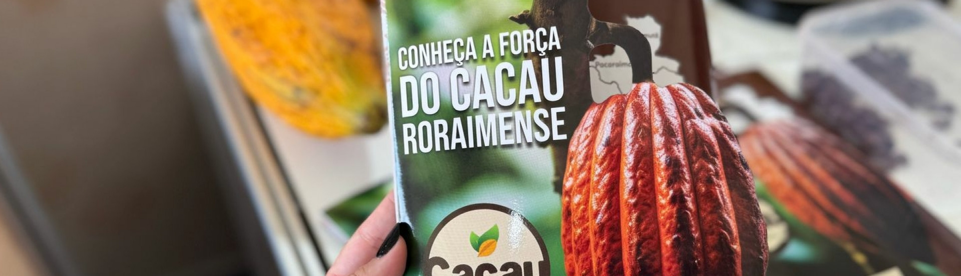 ASN Roraima - Agência Sebrae de Notícias