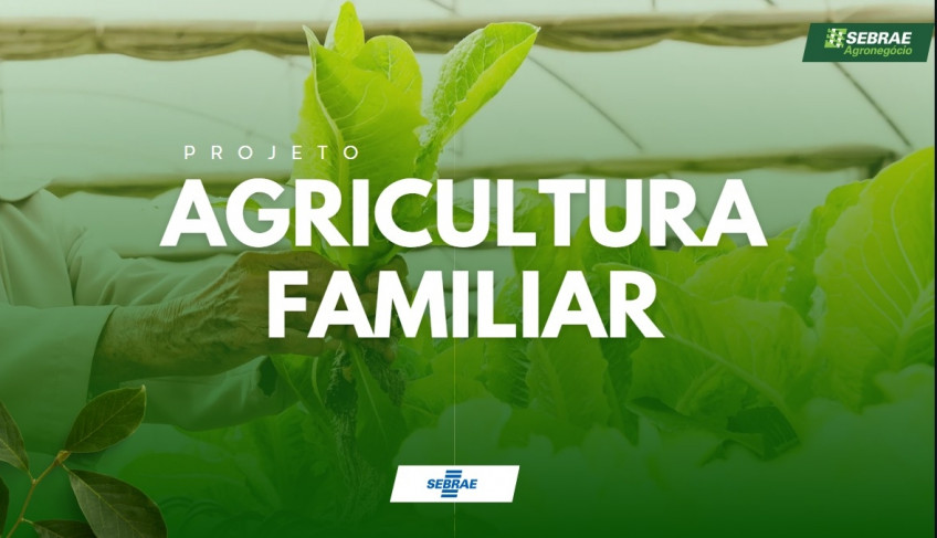 ASN Roraima - Agência Sebrae de Notícias