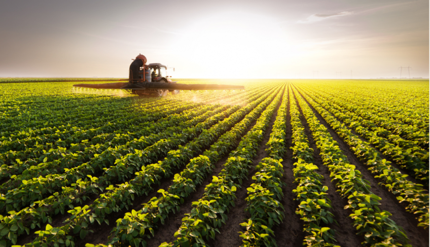 ASN Roraima - Agência Sebrae de Notícias