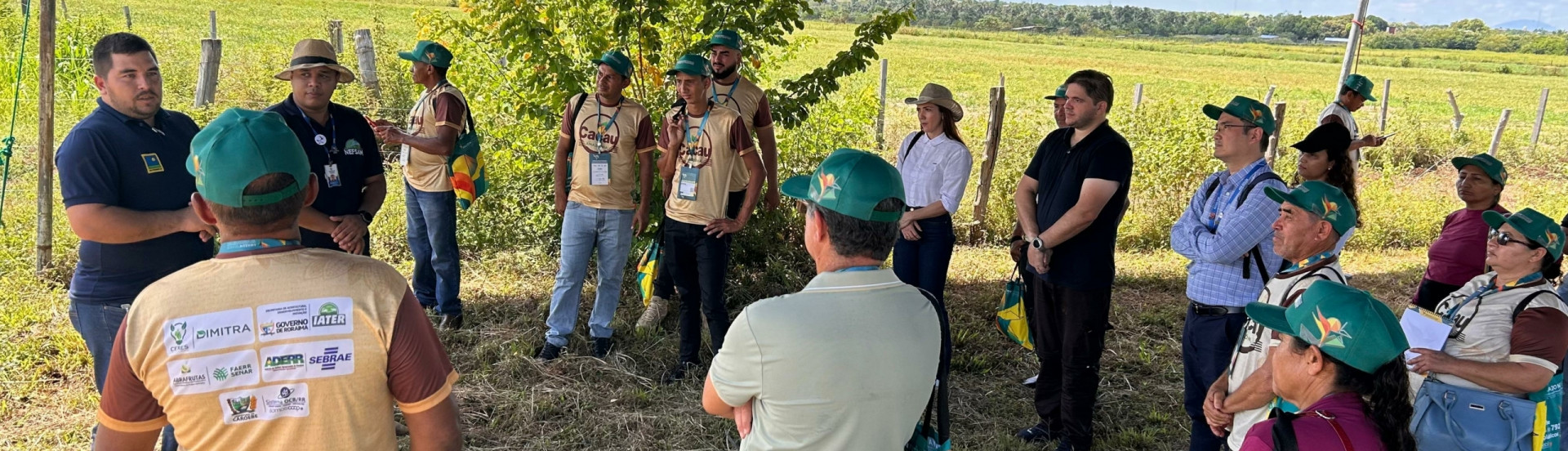 ASN Roraima - Agência Sebrae de Notícias