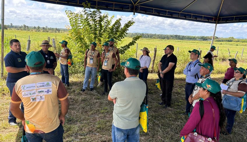 ASN Roraima - Agência Sebrae de Notícias