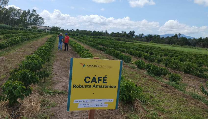 ASN Roraima - Agência Sebrae de Notícias