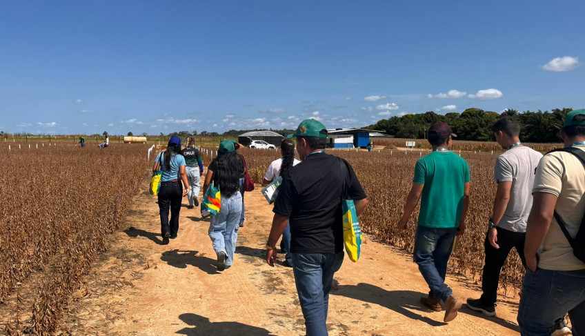 ASN Roraima - Agência Sebrae de Notícias