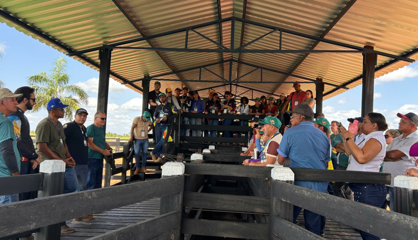 ASN Roraima - Agência Sebrae de Notícias