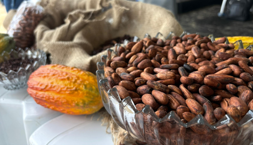 ASN Roraima - Agência Sebrae de Notícias