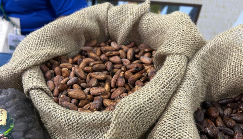 ASN Roraima - Agência Sebrae de Notícias