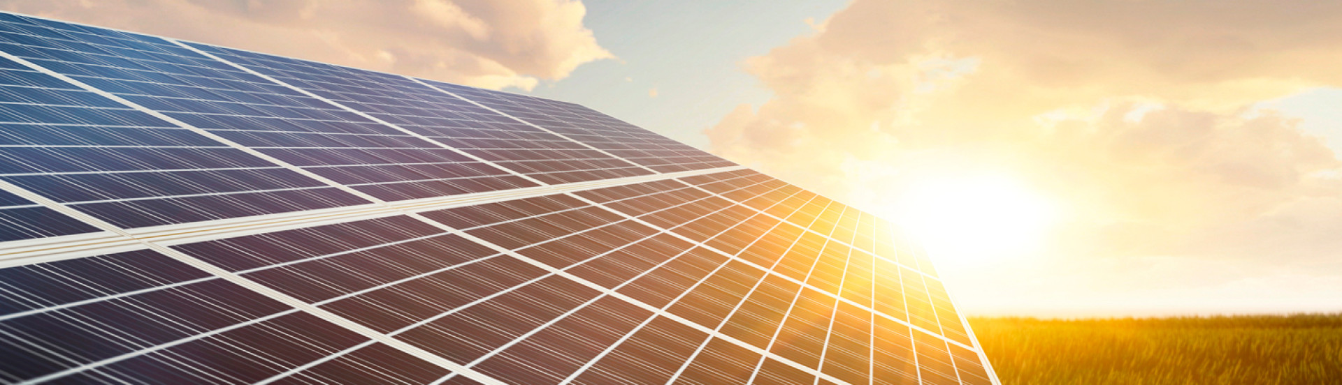 ASN Roraima - Agência Sebrae de Notícias