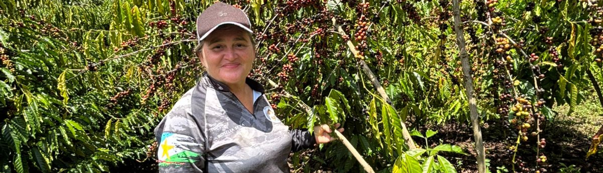 ASN Roraima - Agência Sebrae de Notícias