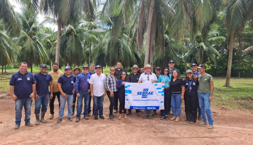 ASN Roraima - Agência Sebrae de Notícias